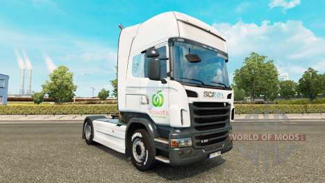 Skin Woolworths for trucks DAF, Scania and Volvo for Euro Truck Simulator 2