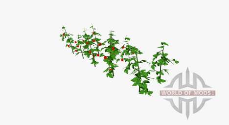 Tomato bushes for Farming Simulator 2017