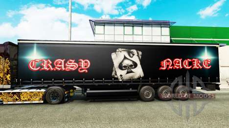 Skin Crasy Trans Logistic v2.0 for trailers for Euro Truck Simulator 2