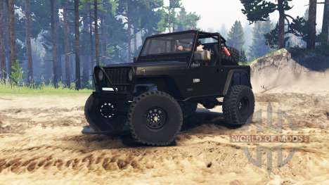 Jeep Wrangler (TJ) for Spin Tires