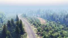 Mixed Forest 2 for Spin Tires