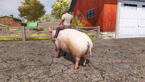 Pig for Farming Simulator 2013