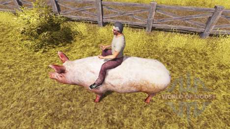 Pig v2.0 for Farming Simulator 2013