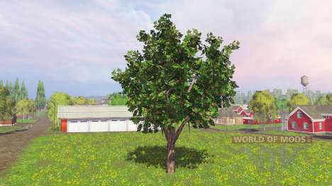 Fruit and berry trees v0.9 for Farming Simulator 2015