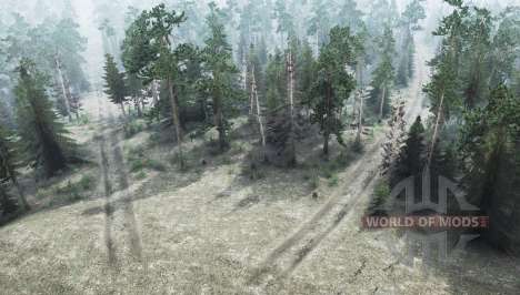 Work on vacation for Spintires MudRunner
