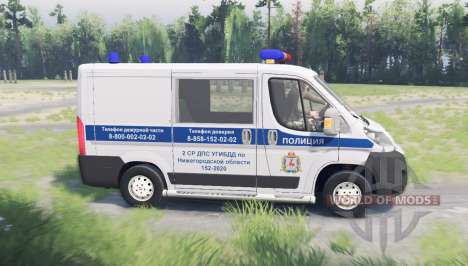Fiat Ducato (250) ДПС for Spin Tires