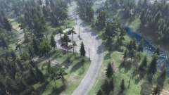 Forest transit for Spin Tires