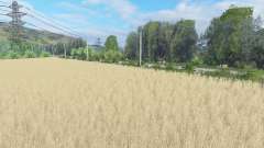 Imaginary Farm for Farming Simulator 2015