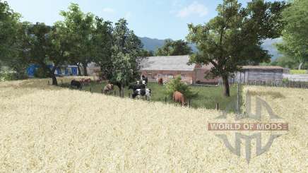 Rusinowo v1.1 for Farming Simulator 2017