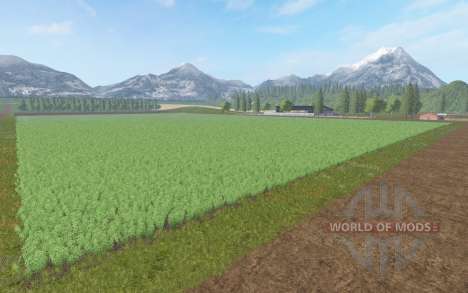 Golden hills for Farming Simulator 2017