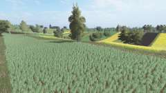 Czysta for Farming Simulator 2017