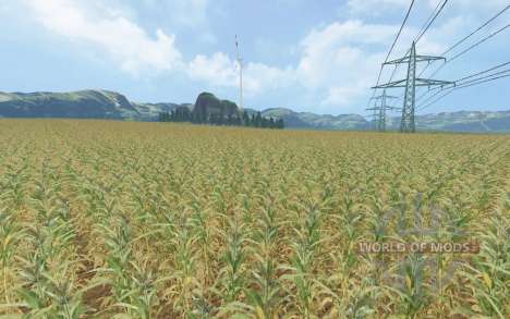 Corn Fever for Farming Simulator 2015