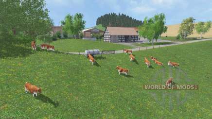 Pieselbach v2.2 for Farming Simulator 2015