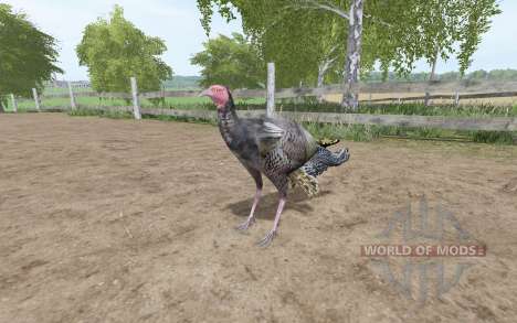 Turkey for Farming Simulator 2017