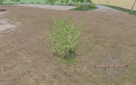 Small tree for Farming Simulator 2017