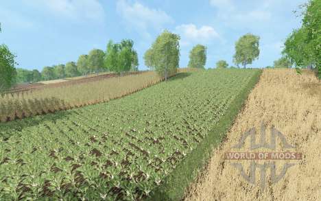 White dew for Farming Simulator 2015