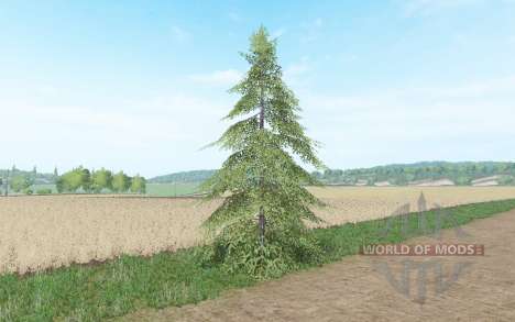 Small spruce for Farming Simulator 2017