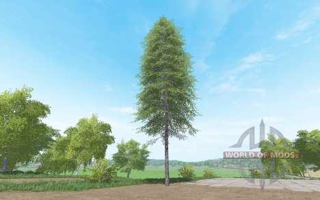 Cut down tall fir for Farming Simulator 2017