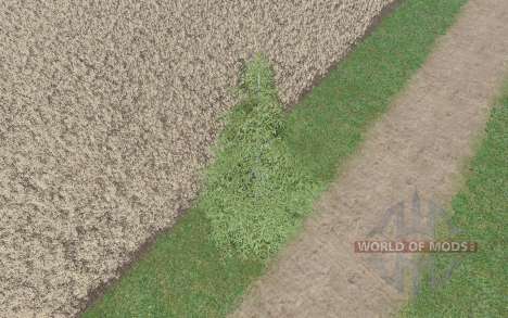 Small spruce for Farming Simulator 2017