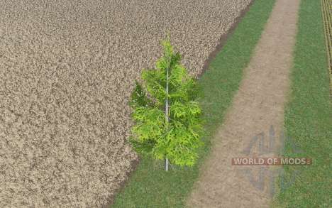 The average spruce for Farming Simulator 2017