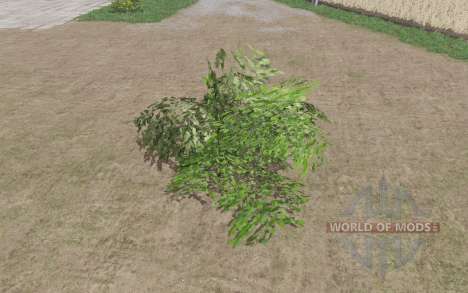 A large shrub for Farming Simulator 2017