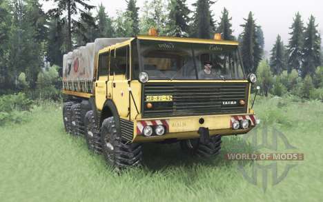 Tatra T813 for Spin Tires