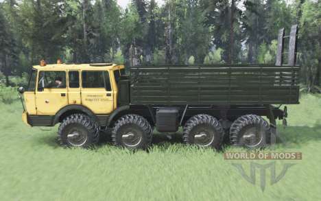 Tatra T813 for Spin Tires