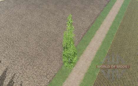 Poplar for Farming Simulator 2017