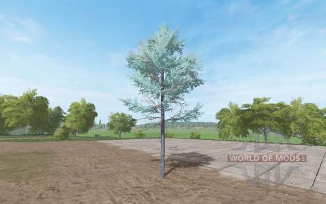Blue spruce for Farming Simulator 2017