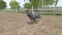 Turkey for Farming Simulator 2017