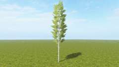 Cut down birch for Farming Simulator 2017