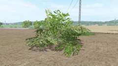 A large shrub for Farming Simulator 2017