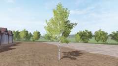 Cut down birch v1.1 for Farming Simulator 2017
