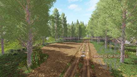 Forestry Land v1.1 for Farming Simulator 2017