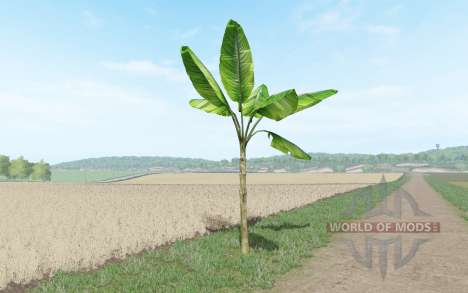 Banana tree for Farming Simulator 2017