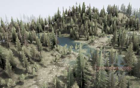 Flooded forest for Spintires MudRunner