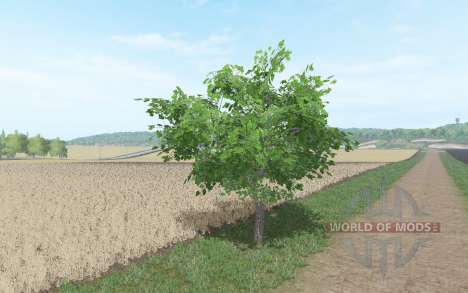 Fruit trees for Farming Simulator 2017