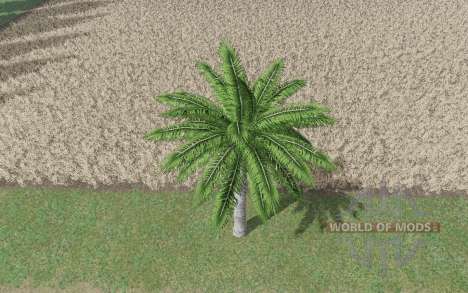 Coconut tree for Farming Simulator 2017