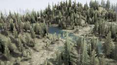 Flooded forest for MudRunner