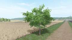Fruit trees for Farming Simulator 2017