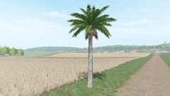 Coconut tree for Farming Simulator 2017