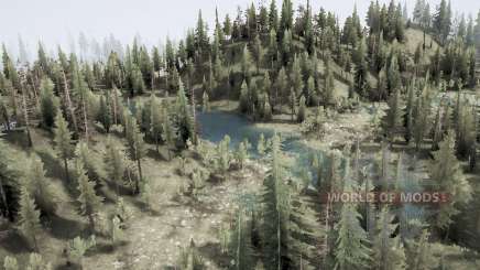Flooded forest for MudRunner