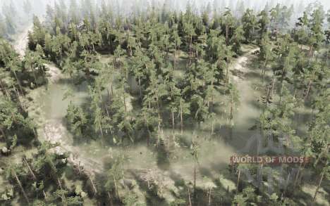 Swampy forest for Spintires MudRunner