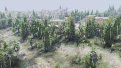 Deciduous forest v2.1.1 for Spin Tires
