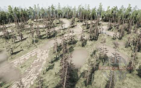 Well road for Spintires MudRunner