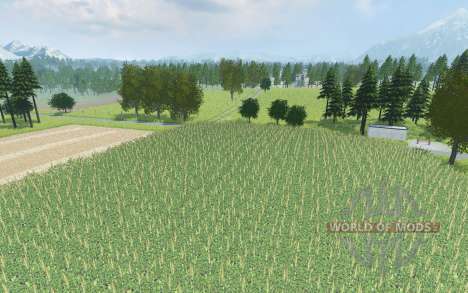 Holzheimerstrasse Country for Farming Simulator 2013