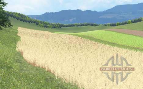 Biczycka Wies for Farming Simulator 2015