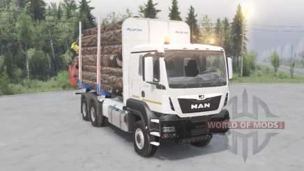 MAN TGS 33.480 for Spin Tires