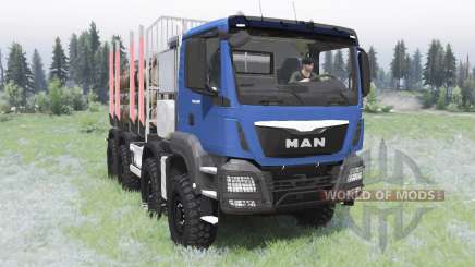 MAN TGS 41.480 2012 for Spin Tires