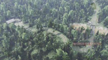 Large forest for Spin Tires